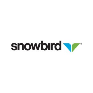 Snowbird Logo Vector