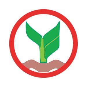 Thai Farmers Bank Bangkok Logo Vector