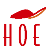 The Shoe Spa Logo Vector