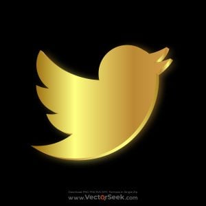 Twitter 3D Gold Icon Vector