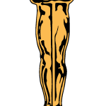 Academy Award   Oscar   A.M.P.A.S. Logo Vector