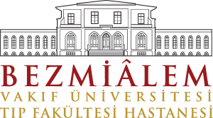 Bezmialem Vakıf Üniversitesi Logo Vector