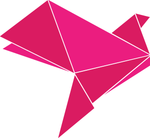 Bkash Pink Icon Logo Vector