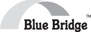 Blue Bridge Logo Vector