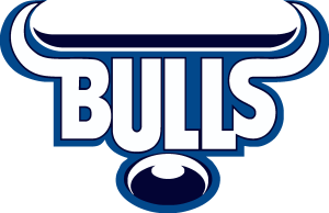 Blue Bulls Logo Vector