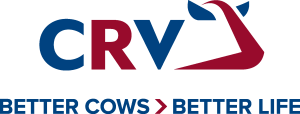 CRV International Logo Vector