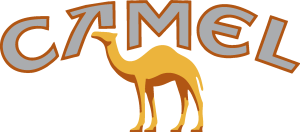 Camel Logo Vector