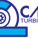 Caracol Logo Vector