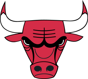 Chicago Bulls Icon Logo Vector