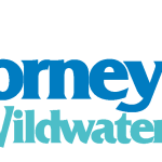 Dorney Park Logo Vector