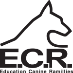 E.C.R. Logo Vector