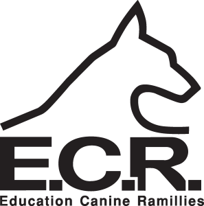 E.C.R. Logo Vector