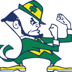 Fighting Irish Logo Vector