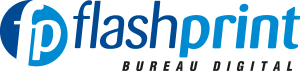 Flash Print Logo Vector
