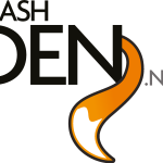 Flashden Logo Vector