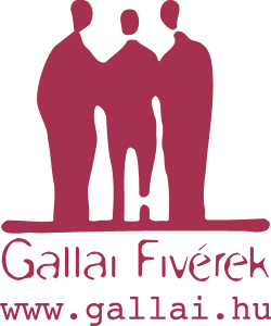 Gallai Fiverek Logo Vector