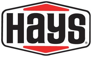 Hays Logo Vector
