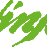 Kawasaki Ninja Logo Vector