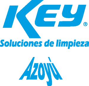 Key Soluciones De Limpieza Logo Vector