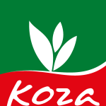 Koza Import Export Logo Vector