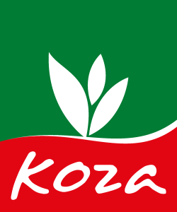 Koza Import Export Logo Vector