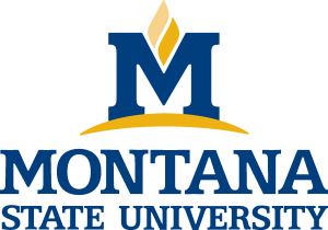 Montana State University Logo Vector