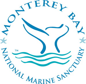 Monterey Bay Logo Vector