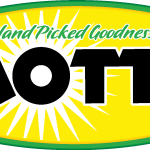 Mott’S. Logo Vector