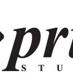 N Print Studiya Logo Vector