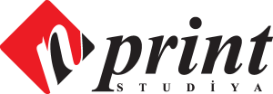 N Print Studiya Logo Vector