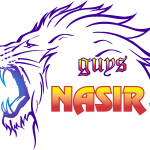 Nasir Logo Vector