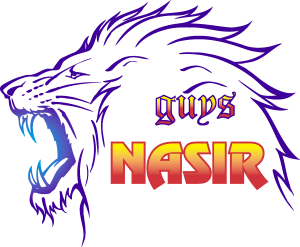 Nasir Logo Vector