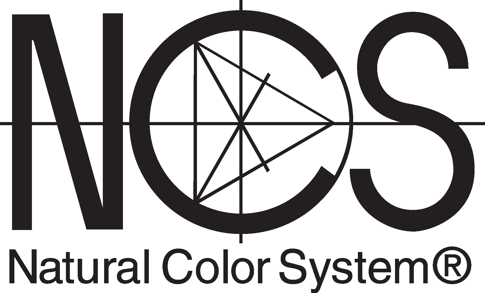 NCS LOGO Designs