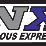 Nx Logo Vector