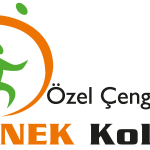 Ornek Koleji Logo Vector