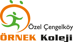 Ornek Koleji Logo Vector