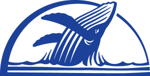 Pacific Life Icon Logo Vector