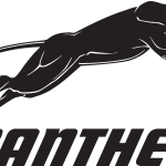 Panther Logo Vector