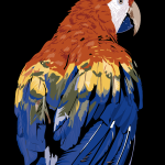 Parrot 2 Logo Vector