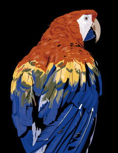 Parrot 2 Logo Vector