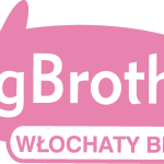 Pig Brother Logo Vector