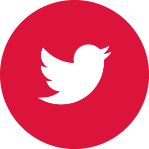 Red Twitter Logo Vector