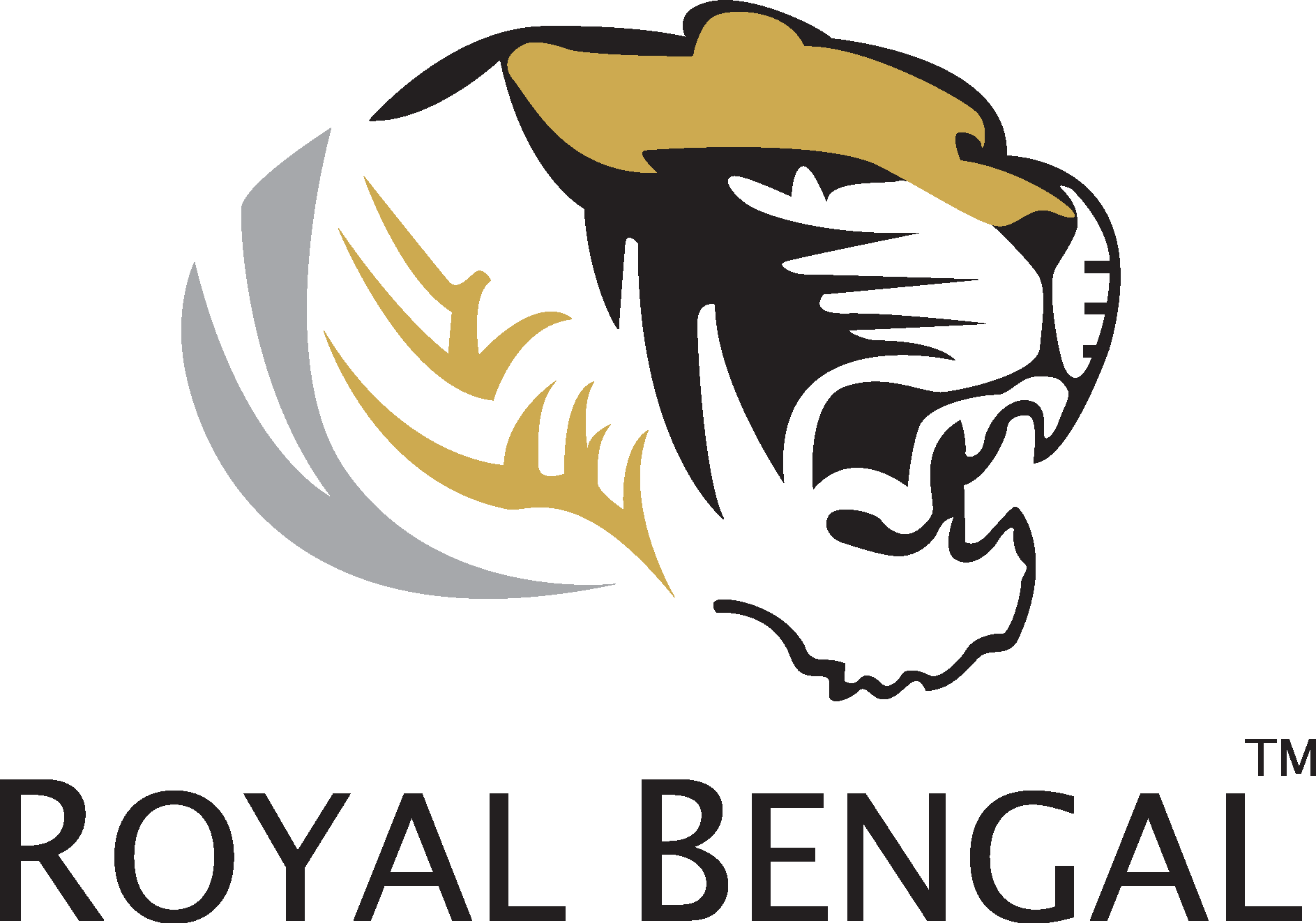 Decorative Motorcycle Brass logo,Tiger For Royal Enfield All Models – R J  Express