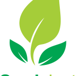 Seed plant green organic Logo Vector