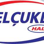 Selcuklu Hali Logo Vector