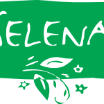 Selena Mobilya Logo Vector