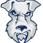 St. Francis Terriers Logo Vector