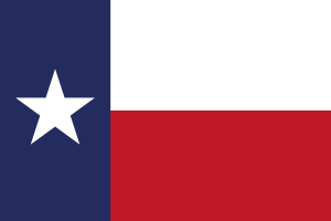 Texas State Flag Logo Vector