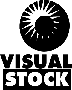 Visual Stock Logo Vector