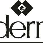 Windermere Logo Vector